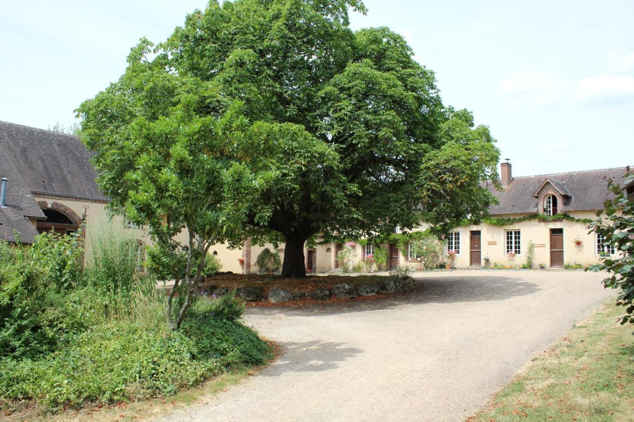 Gite Des Etangs De Beaulieu Le Plessis-Dorin Екстер'єр фото