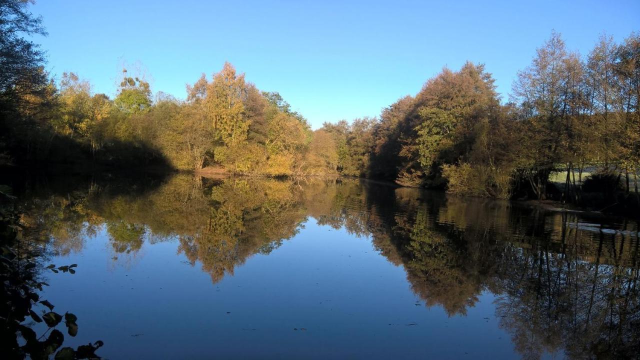 Gite Des Etangs De Beaulieu Le Plessis-Dorin Екстер'єр фото